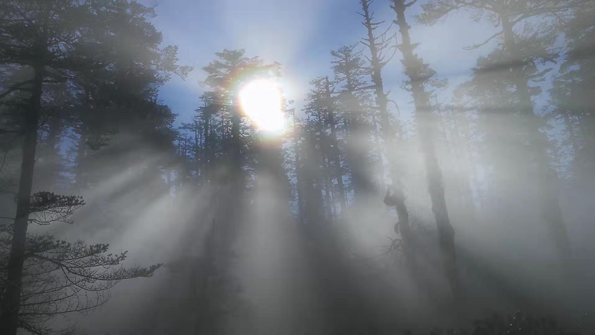 1583409383885855.jpg 1583409383885855.jpg